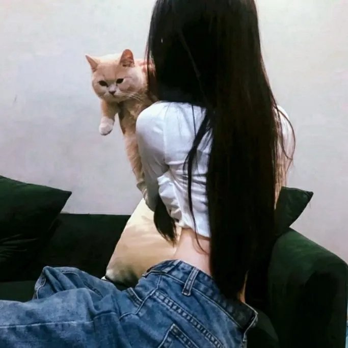 离婚律师申晟瀚